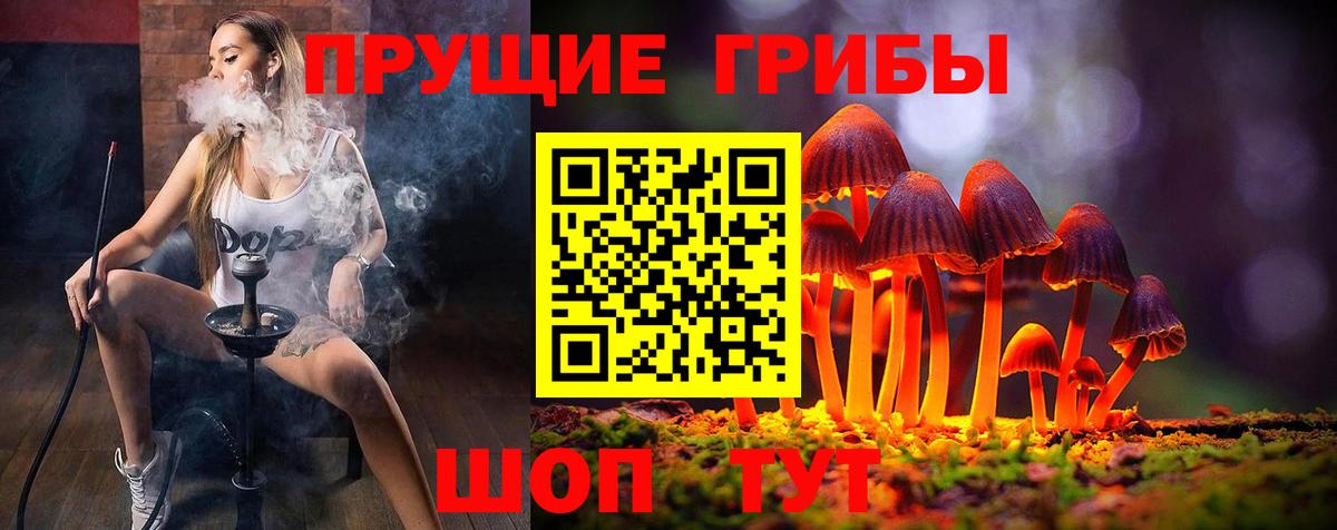Псилоцибиновые грибы MAGIC MUSHROOMS Зеленодольск