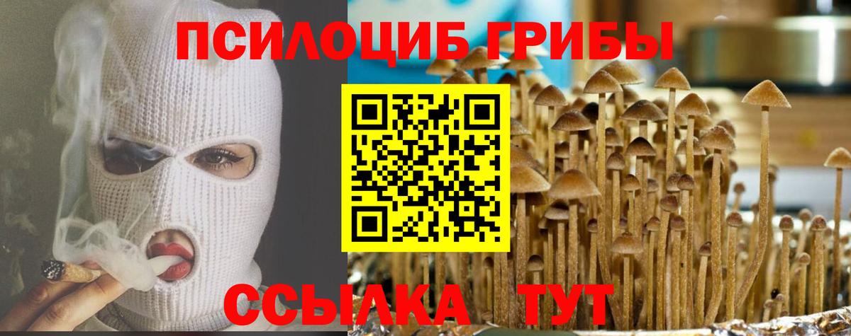 Псилоцибиновые грибы MAGIC MUSHROOMS  Галлюциногенные грибы прущие грибы  купить наркотик  Вход с VPN  Зеленодольск 